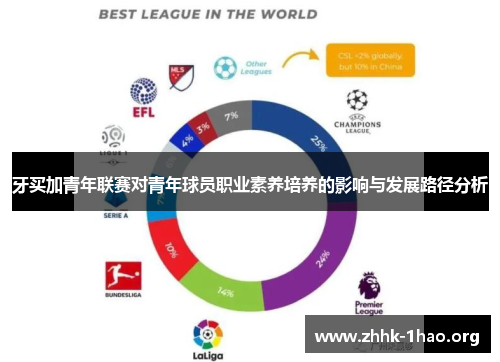 牙买加青年联赛对青年球员职业素养培养的影响与发展路径分析