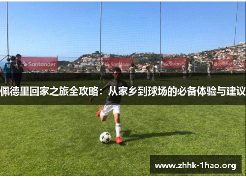 佩德里回家之旅全攻略：从家乡到球场的必备体验与建议