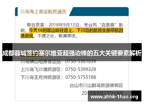 成都蓉城签约塞尔维亚超强边锋的五大关键要素解析