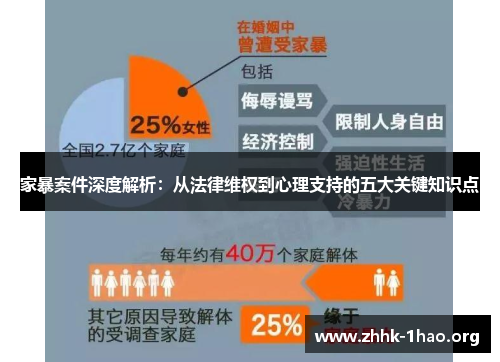 家暴案件深度解析：从法律维权到心理支持的五大关键知识点
