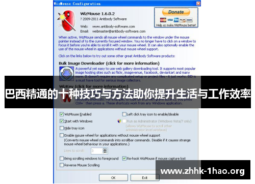 巴西精通的十种技巧与方法助你提升生活与工作效率