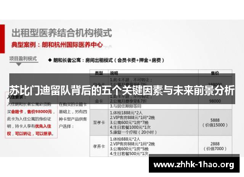 苏比门迪留队背后的五个关键因素与未来前景分析