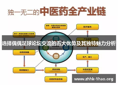 选择偶偶足球论坛交流的五大优势及其独特魅力分析
