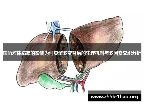 饮酒对体脂率的影响为何复杂多变背后的生理机制与多因素交织分析