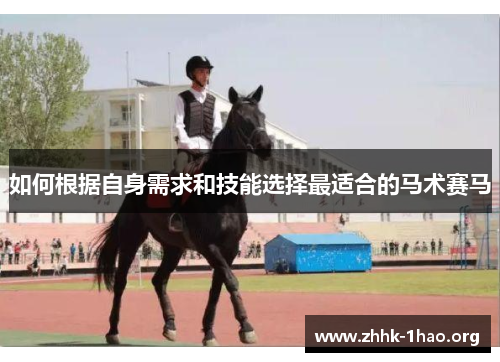 如何根据自身需求和技能选择最适合的马术赛马