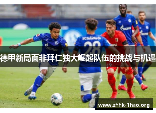 德甲新局面非拜仁独大崛起队伍的挑战与机遇