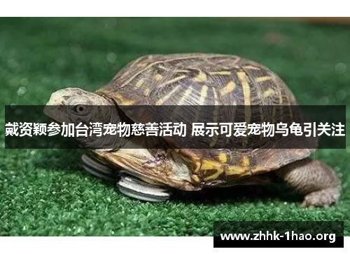 戴资颖参加台湾宠物慈善活动 展示可爱宠物乌龟引关注